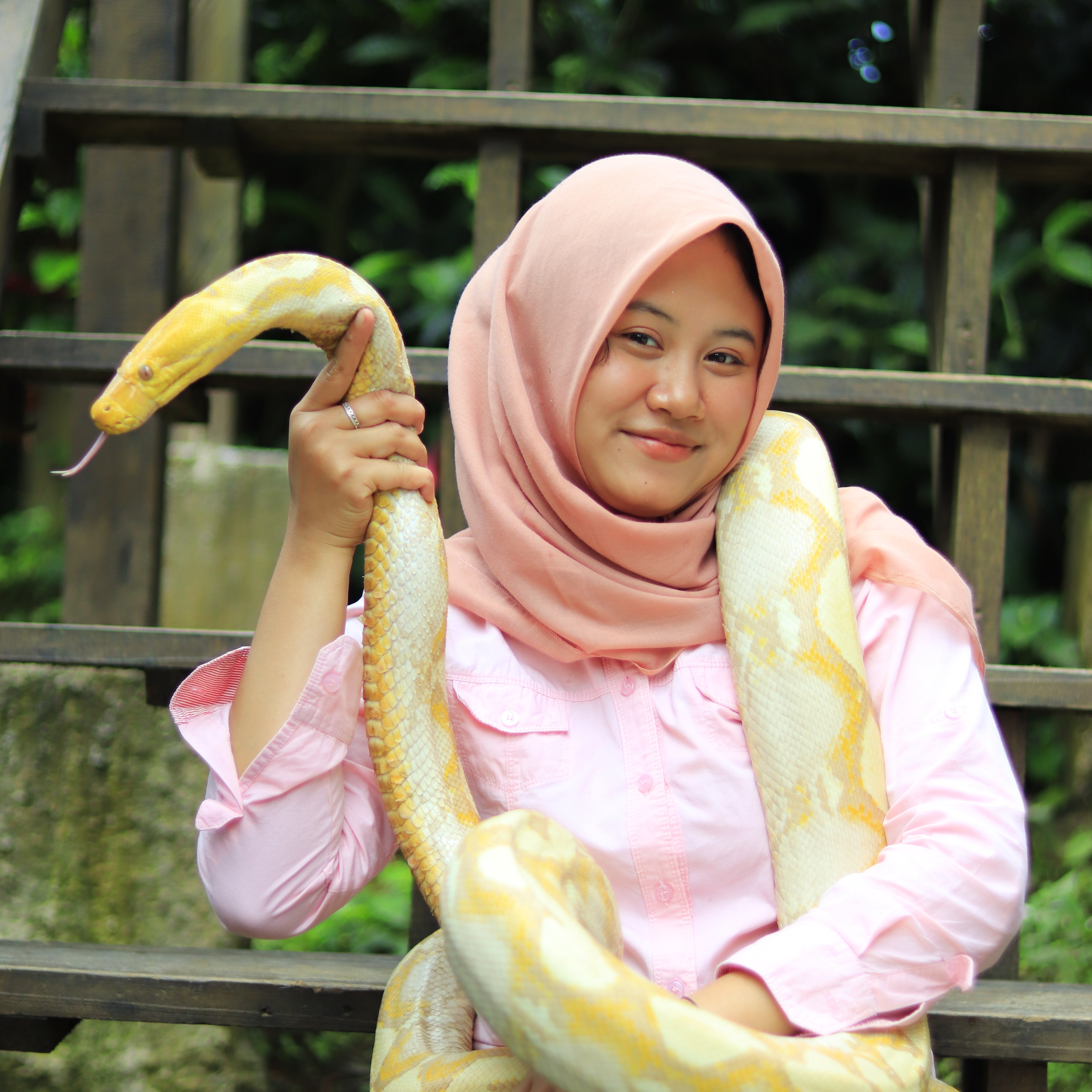 Animal