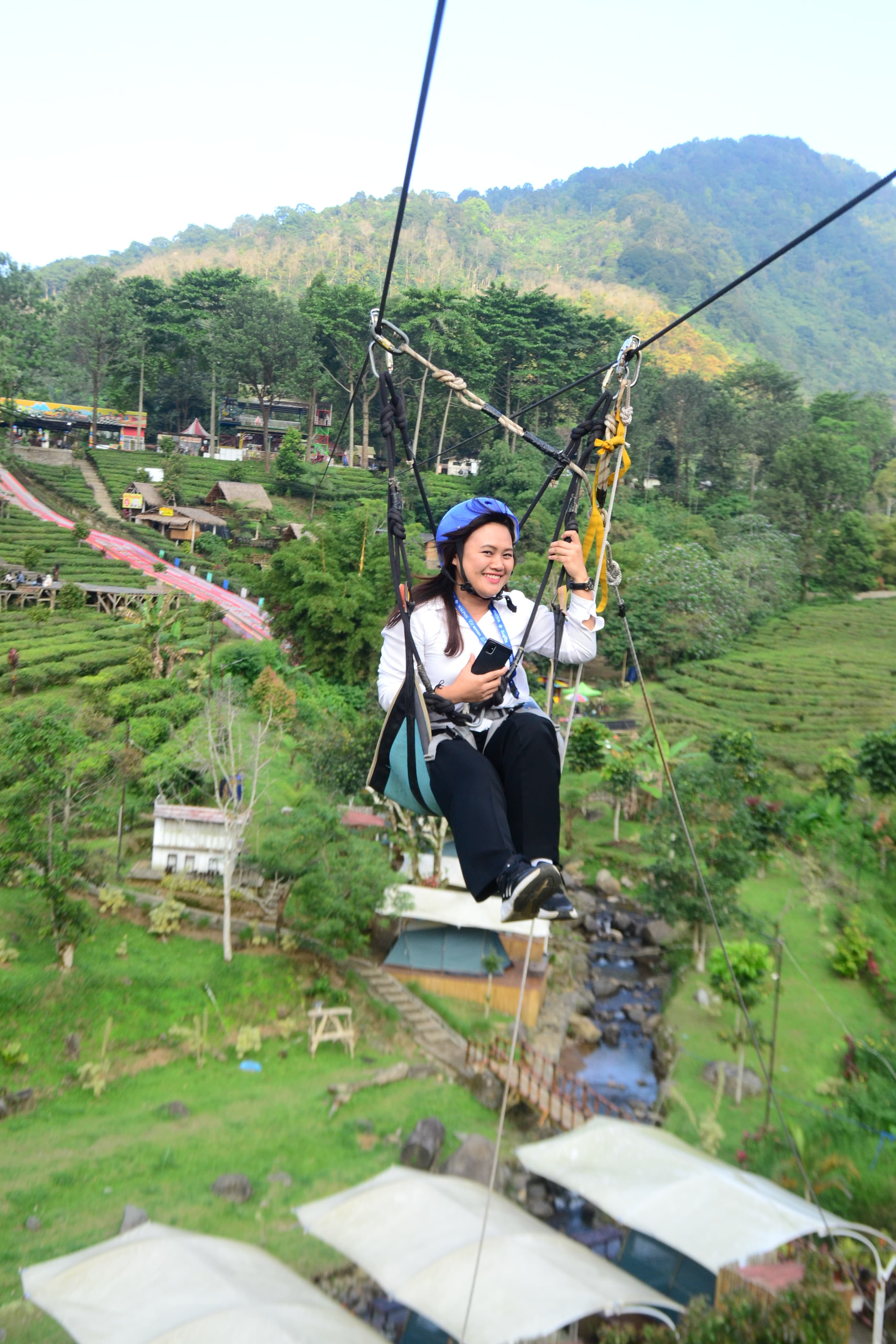Flying Fox