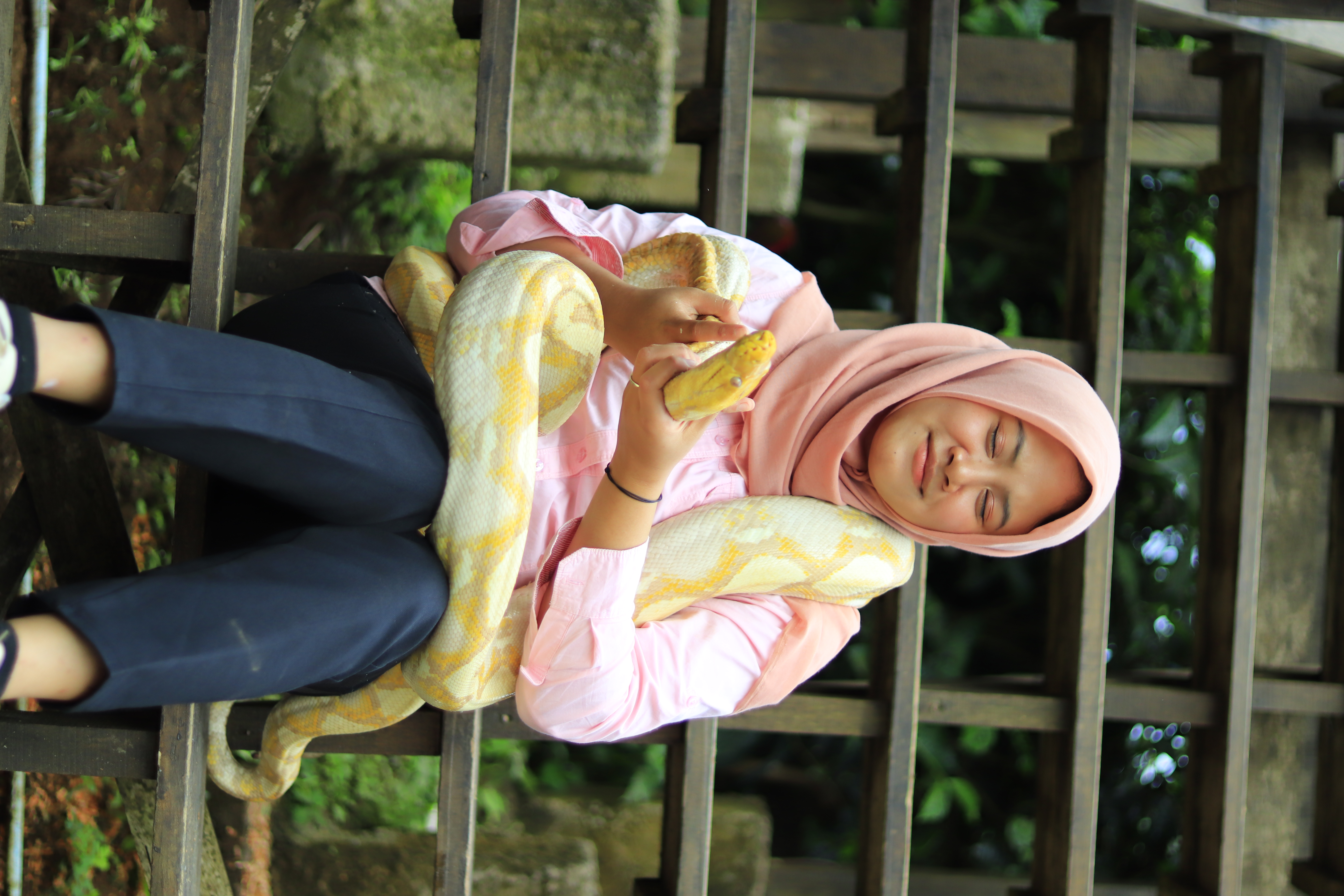 Animal - View 2
