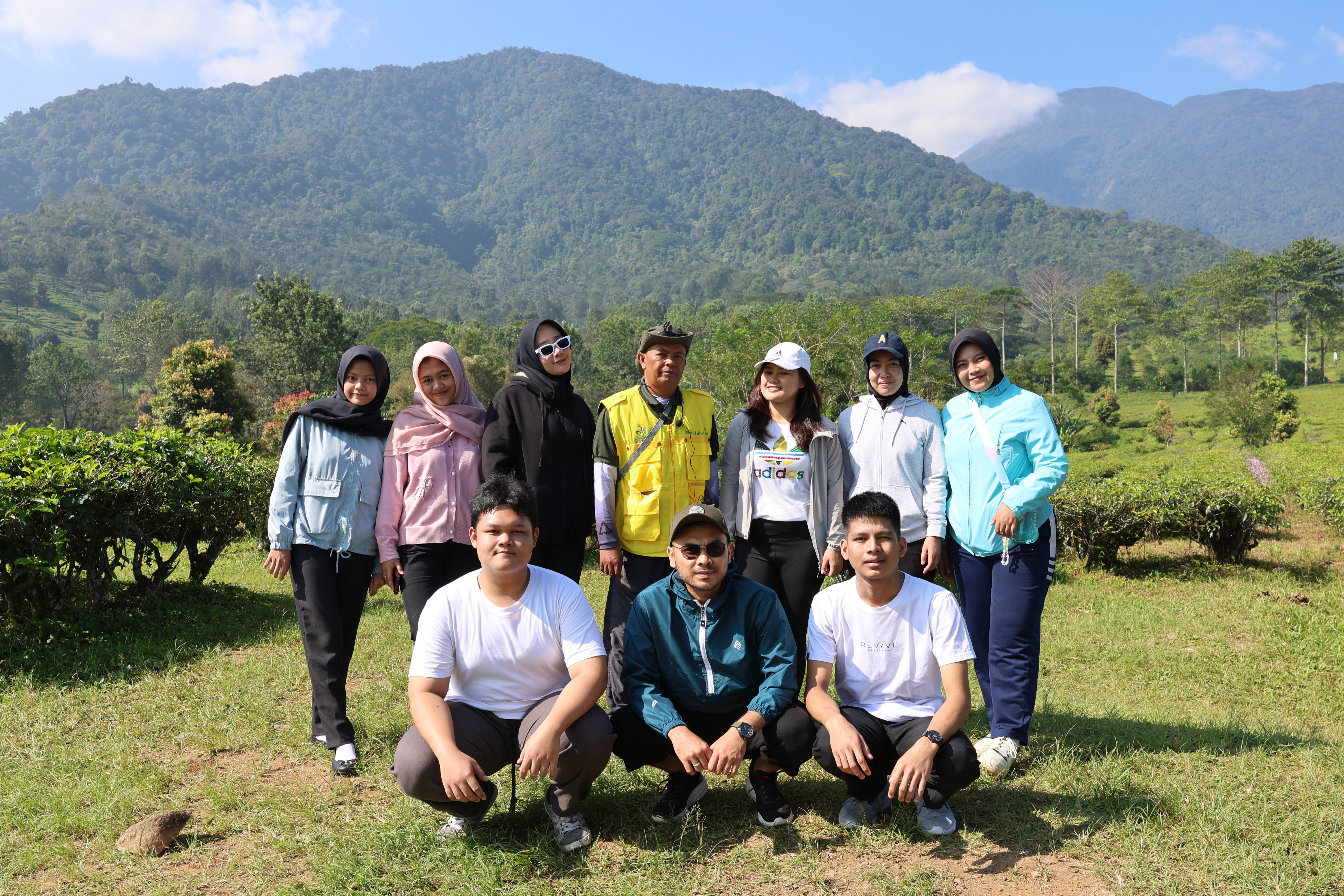 Tea Walk - View 2