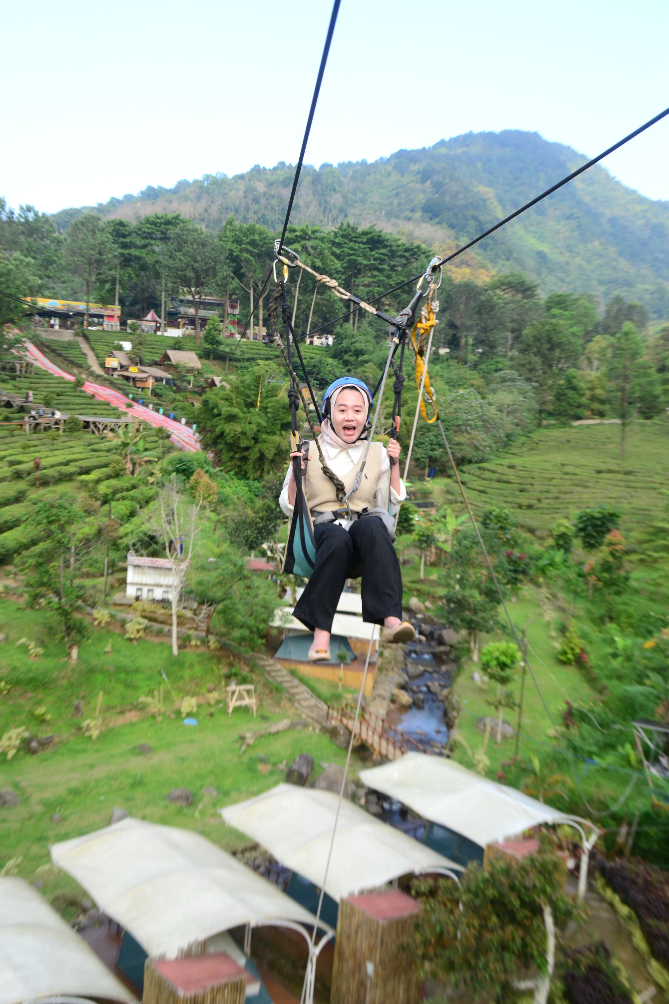 Flying Fox - View 1