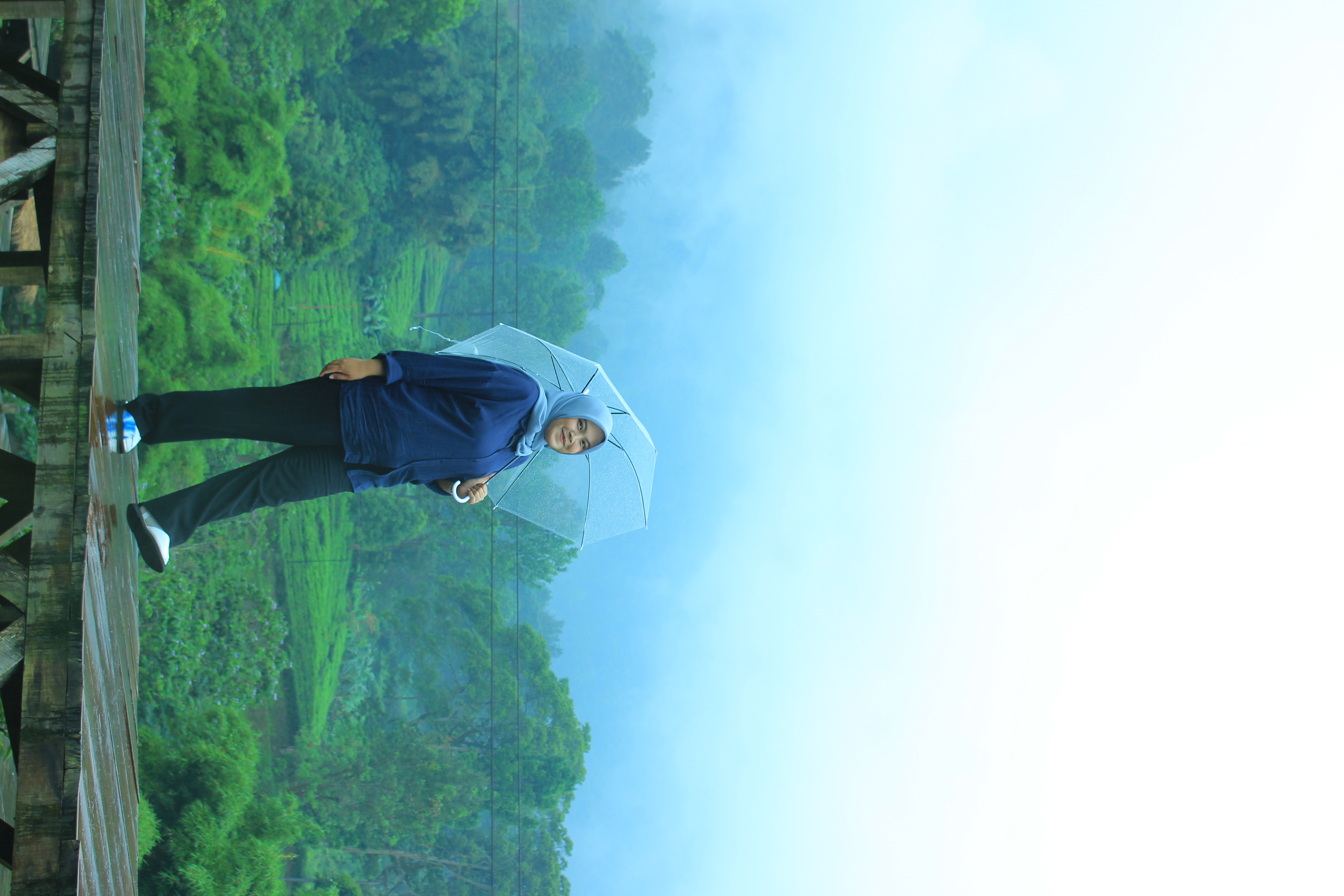 Tea Bridge - View 2
