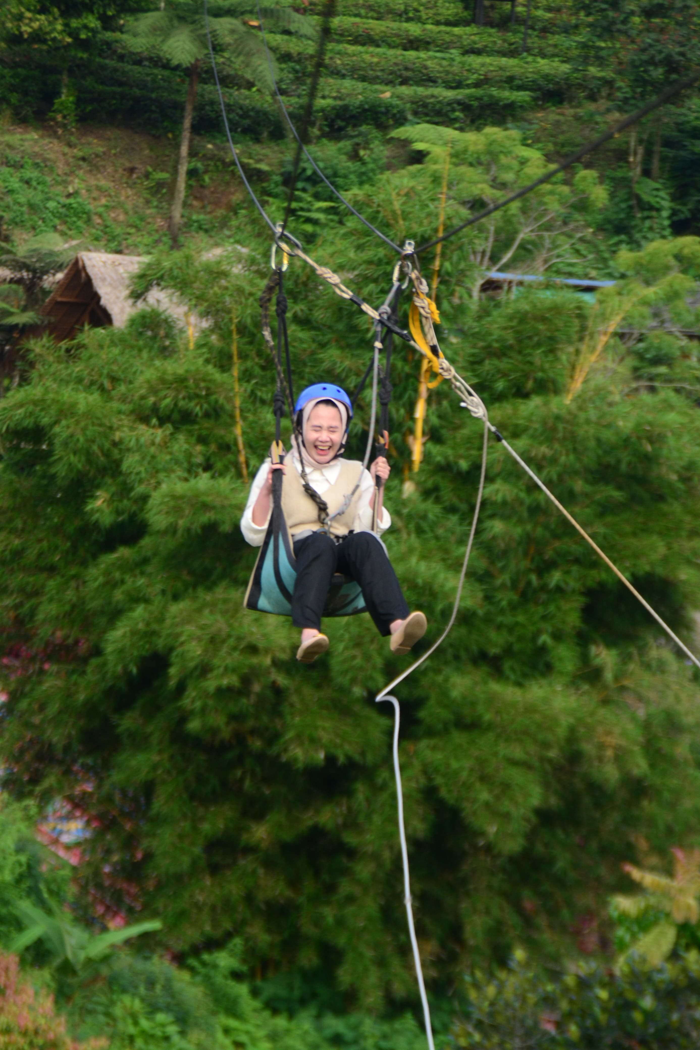 Flying Fox - View 2