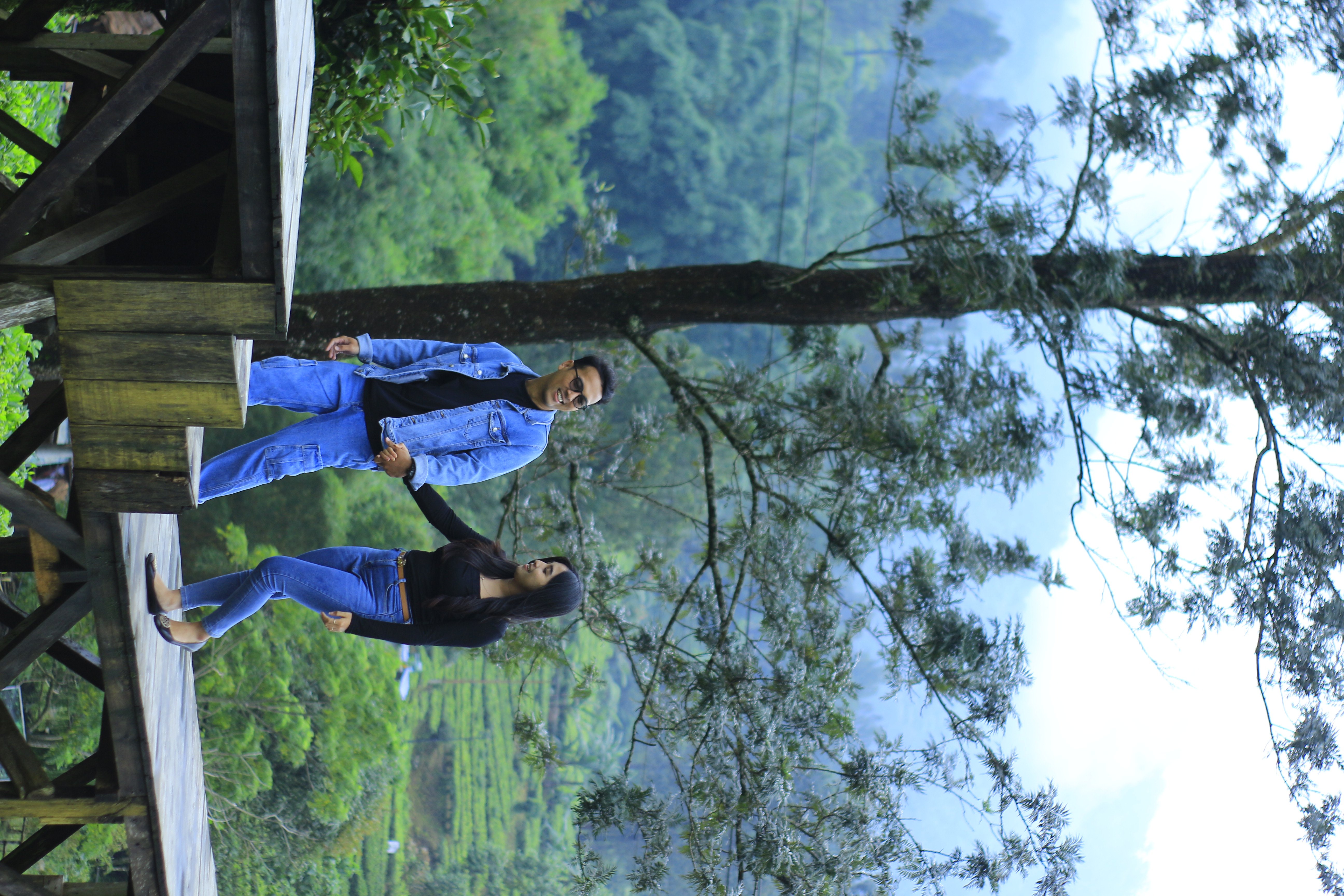 Tea Bridge